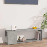 Vidaxl tv-meubel 100x24x32 cm bewerkt hout betongrijs