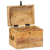 Vidaxl opbergbox 39x28x31 cm massief mangohout