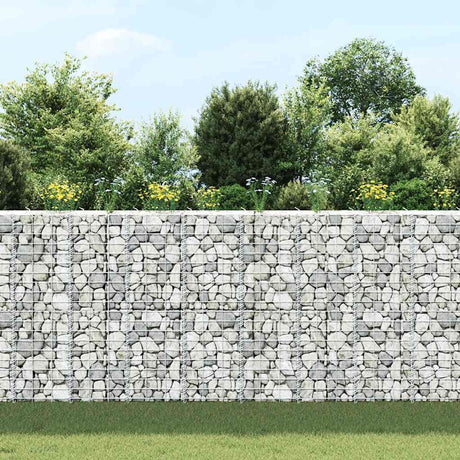 Vidaxl schanskorf plantenbakken 3 st verhoogd 30x30x100 cm ijzer