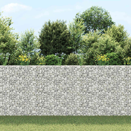 Vidaxl Schanskorf Planters 3. hævet 30x30x150 cm jern