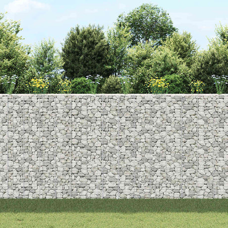 Vidaxl Schanskorf Planters 3. hævet 30x30x200 cm jern