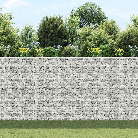 Vidaxl Schanskorf Planters 3. hævet 30x30x200 cm jern