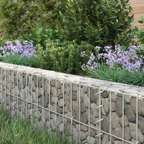 Vidaxx gabion planter hævet 100x100x20 cm galvaniseret stål