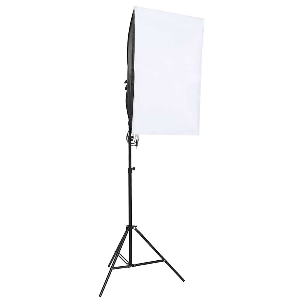 Vidaxl Studiolamps 2 st professionel 40x60 cm