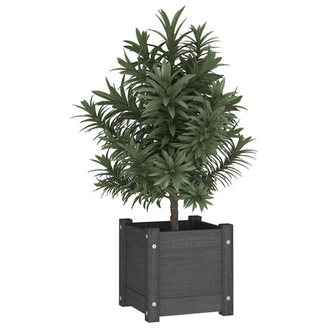 Vidaxl Planters 2 stk 31x31x31 cm Solid fyrretræ
