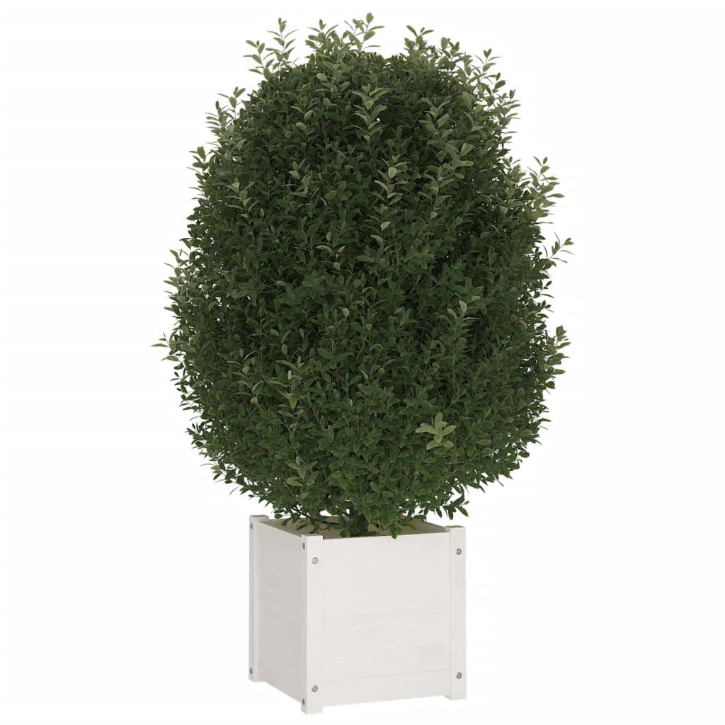 Vidaxl Planning Box 40x40x40 cm Solid fyrretræ hvid