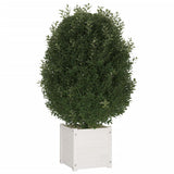 Vidaxl Planning Box 40x40x40 cm Solid fyrretræ hvid