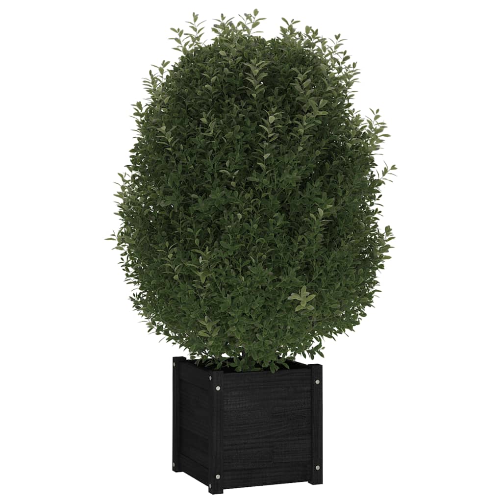 Vidaxl Planters 2 St 40x40x40 cm Solid fyrretræ sort