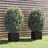 Vidaxl Planters 2 St 40x40x40 cm Solid fyrretræ sort