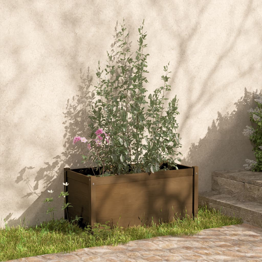 Vidaxl Planters 2 St 100x50x50 cm Solid Pine Honey Brown