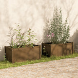 Vidaxl Planters 2 St 100x50x50 cm Solid Pine Honey Brown