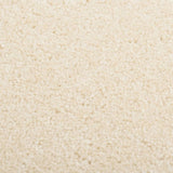 Vidaxl Rug Kortpolig 80x150 cm creme -farvet