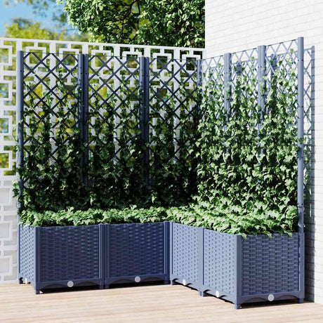Vidaxx plantekasse med espalier 120x120x136 cm polypropylen blå-grå