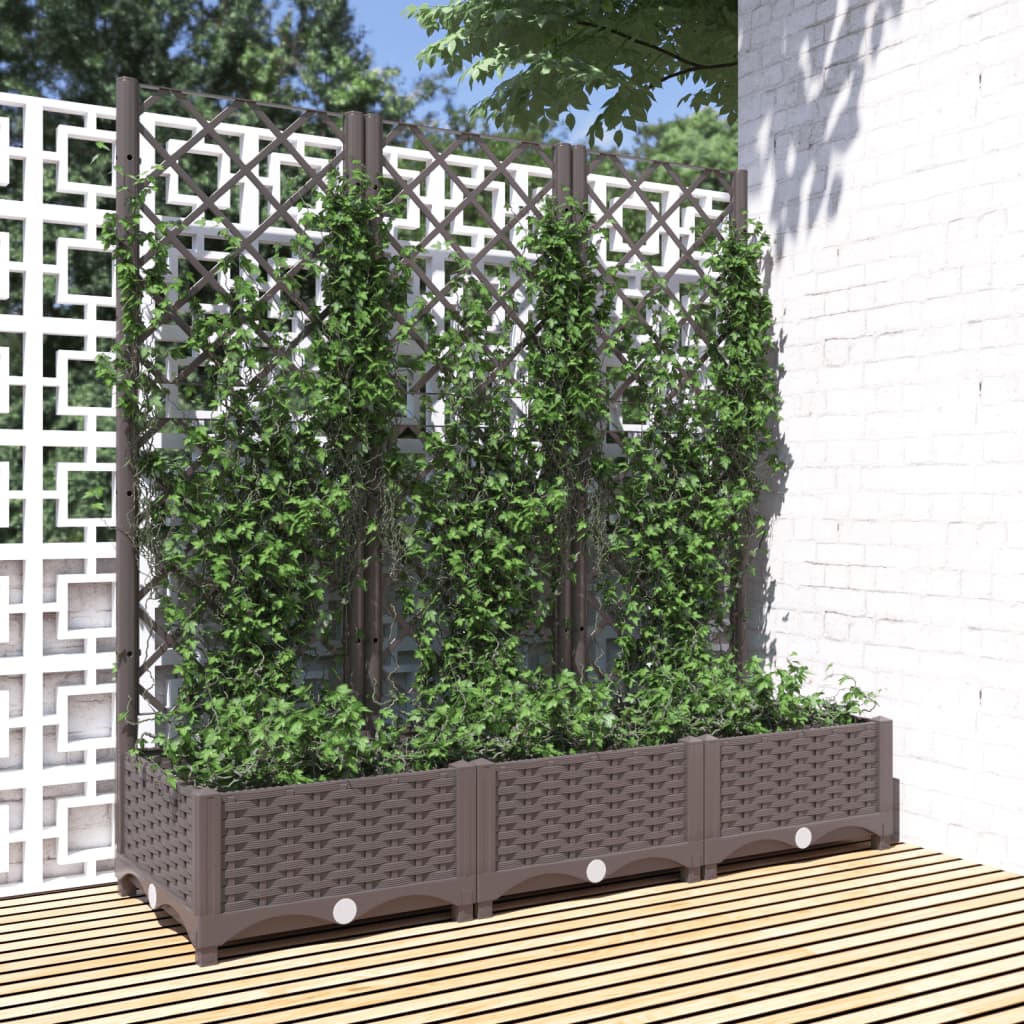 Vidaxxl plantekasse med espalier brun 120x40x121,5 cm s