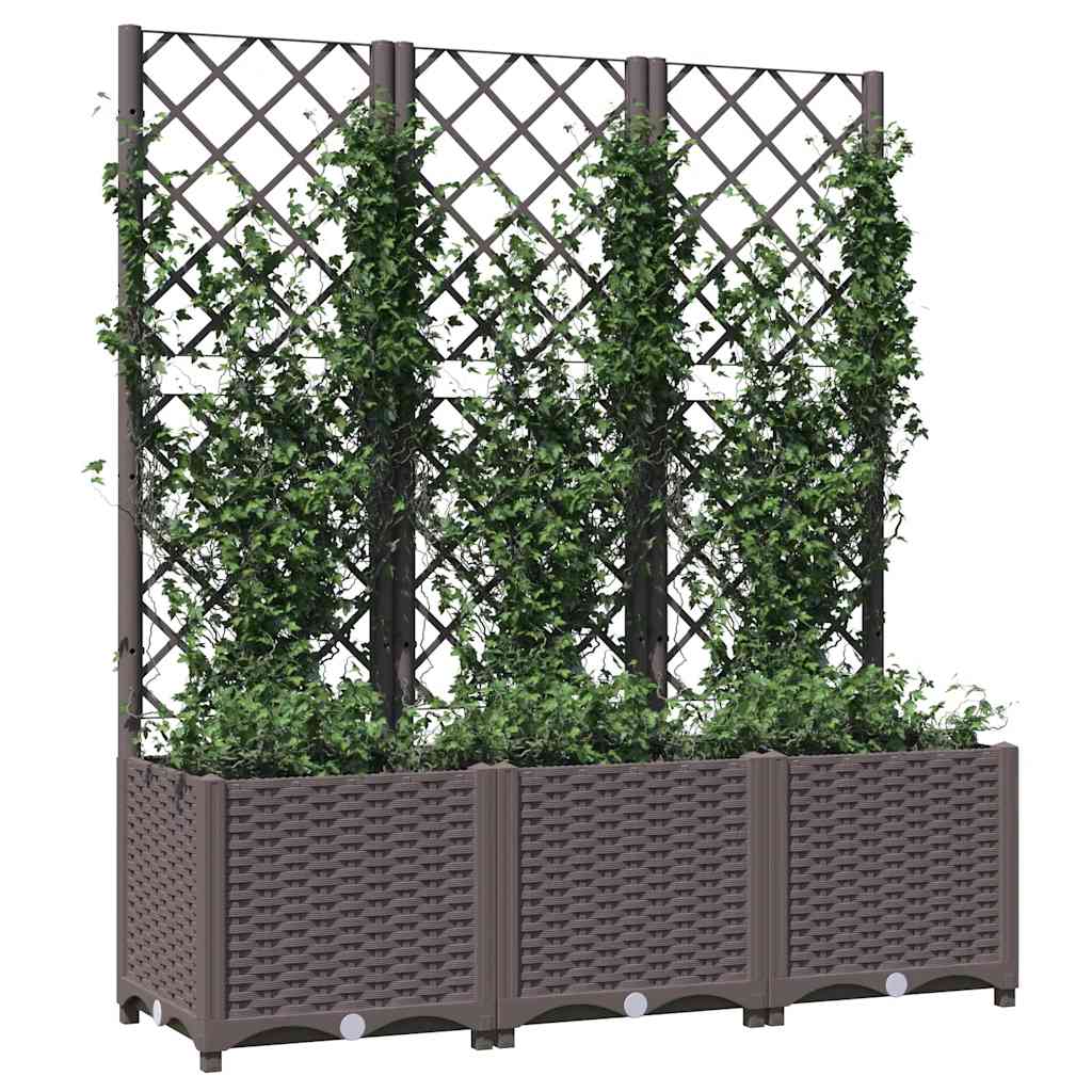 Vidaxxl plantekasse med espalier brun 120x40x136 cm s