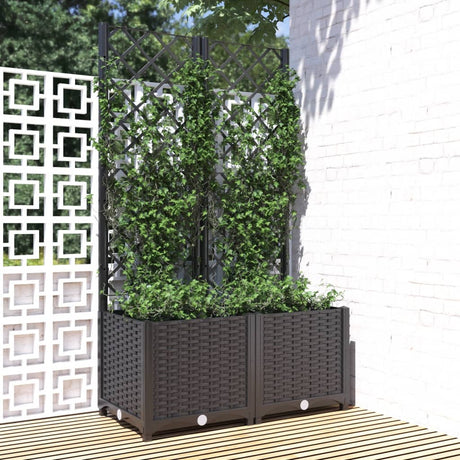 Vidaxxl plantekasse med espalier sort 80x40x136 cm s