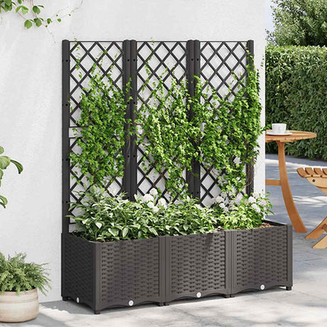 Vidaxxl plantekasse med espalier sort 120x40x136 cm s