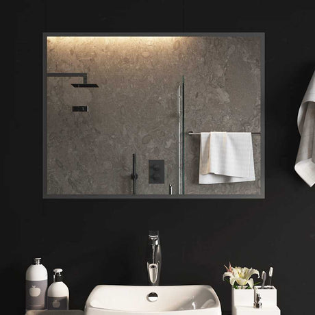 Vidaxx badeværelsesspejl LED 80x60 cm