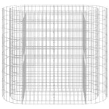 Vidaxl Gabion Planter hævede 120x50x100 cm galvaniseret jern