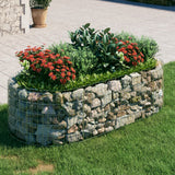 Vidaxl Gabion Planter hævet 200x100x50 cm galvaniseret jern