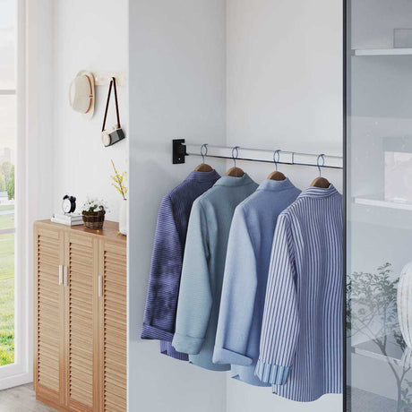 Vidaxl tøjskinner 2 pcs Teleskop 58-100 cm sølvfarvet