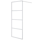 Vidaxx Walk-in Brous-kabinet 80x195 cm Transparent ESG Glass sølvfarvet