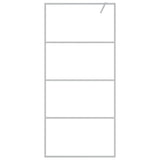 Vidaxx Walk-in Brous-kabinet 90x195 cm Gennemsigtig ESG Glass Sølvfarvet