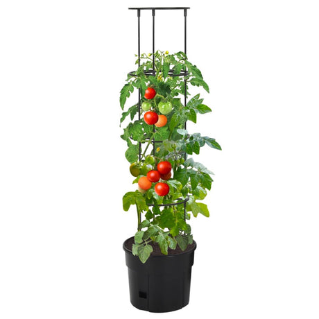 Vidaxl Tomatoavl Jar Ø29.5x115 cm Polypropen Anthracite -farvet