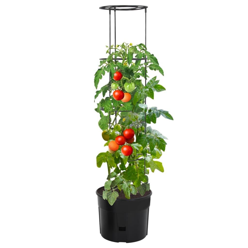 Vidaxl tomatkultur ø39x150 cm polypropen antracit -farvet