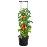 Vidaxl tomatkultur ø39x150 cm polypropen antracit -farvet
