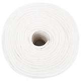 Vidaxl Boat Rope 10 mm 100 m polypropylen Fast hvid