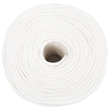 Vidaxxl Boat Rope 10 mm 250 m Polypropylen Fast hvid