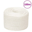 Vidaxx arbejdsreb 10 mm 100 m polypropylen hvid