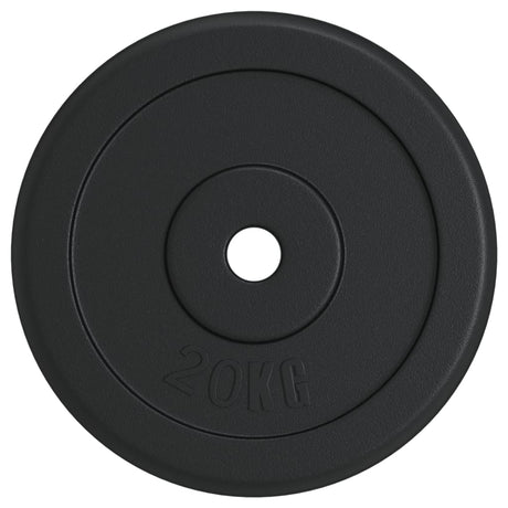 Vidaxl Halter Disc 20 kg støbejern