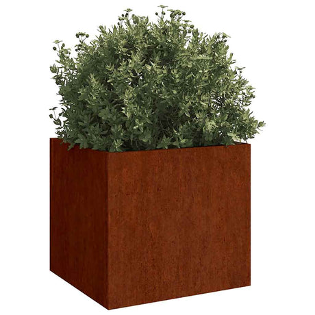 Vidaxl Planning Box 49x47x46 cm Cortenstaal