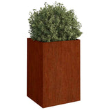 Vidaxl Planning Box 52x48x75 cm Cortenstaal