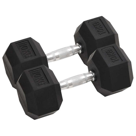 VidaXL håndvægte 2 stk 20 kg total støbejern