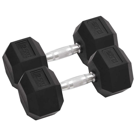 VidaXL håndvægte 2 stk 25 kg total støbejern