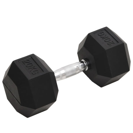 VidaXL håndvægte 20 kg støbejern