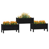 Vidaxl Planning Box 245.5x44x75 cm Solid fyrretræ sort