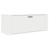 Vidaxl Wall Shoe Cabinet 100x35x38 cm Property Wood White