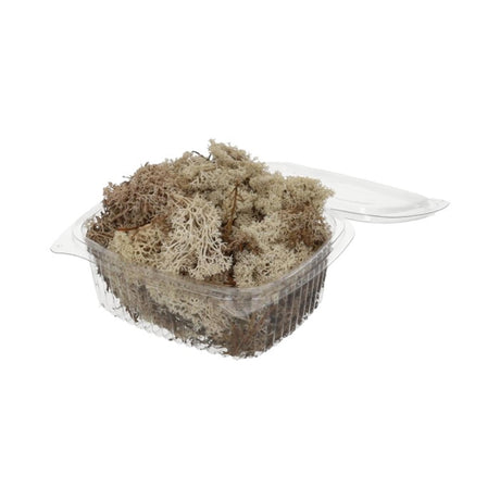 HBx naturlig levende rensdyrmos 50gr hvid