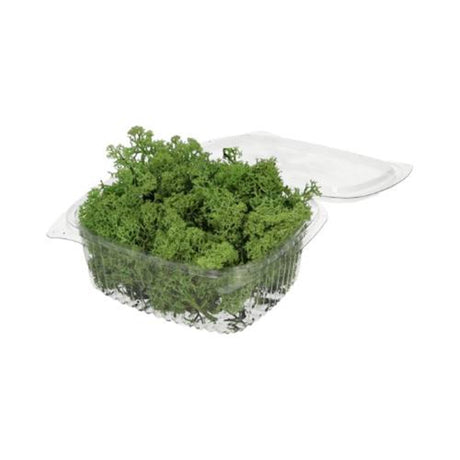HBx naturlig levende rensdyrmos 50gr grøn