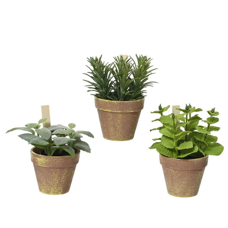 Decoris plante i potte 15x15x17cm