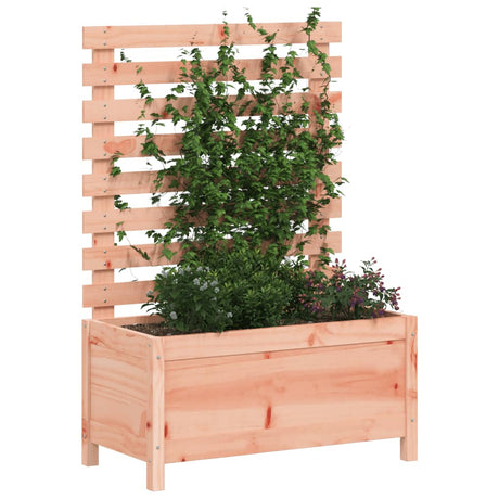 Vidaxl Planter med Rack 79x39.5x114 cm solid Douglashout
