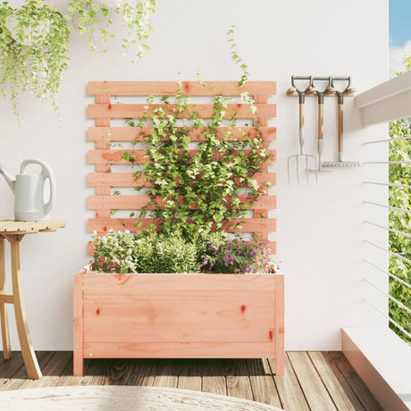 Vidaxl Planter med Rack 79x39.5x114 cm solid Douglashout