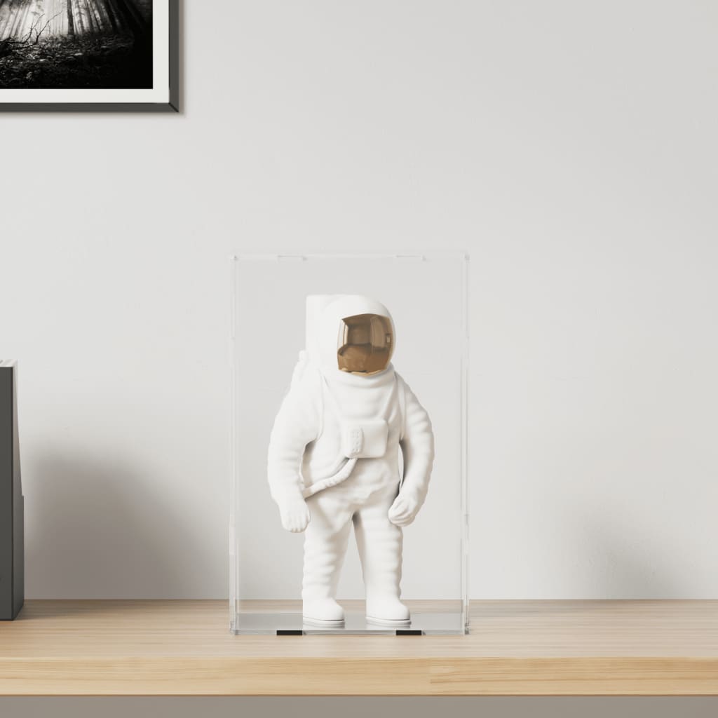 Vidaxl DisplayBox Transparent 22x18x35 cm akryl