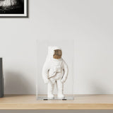 Vidaxl DisplayBox Transparent 22x18x35 cm akryl