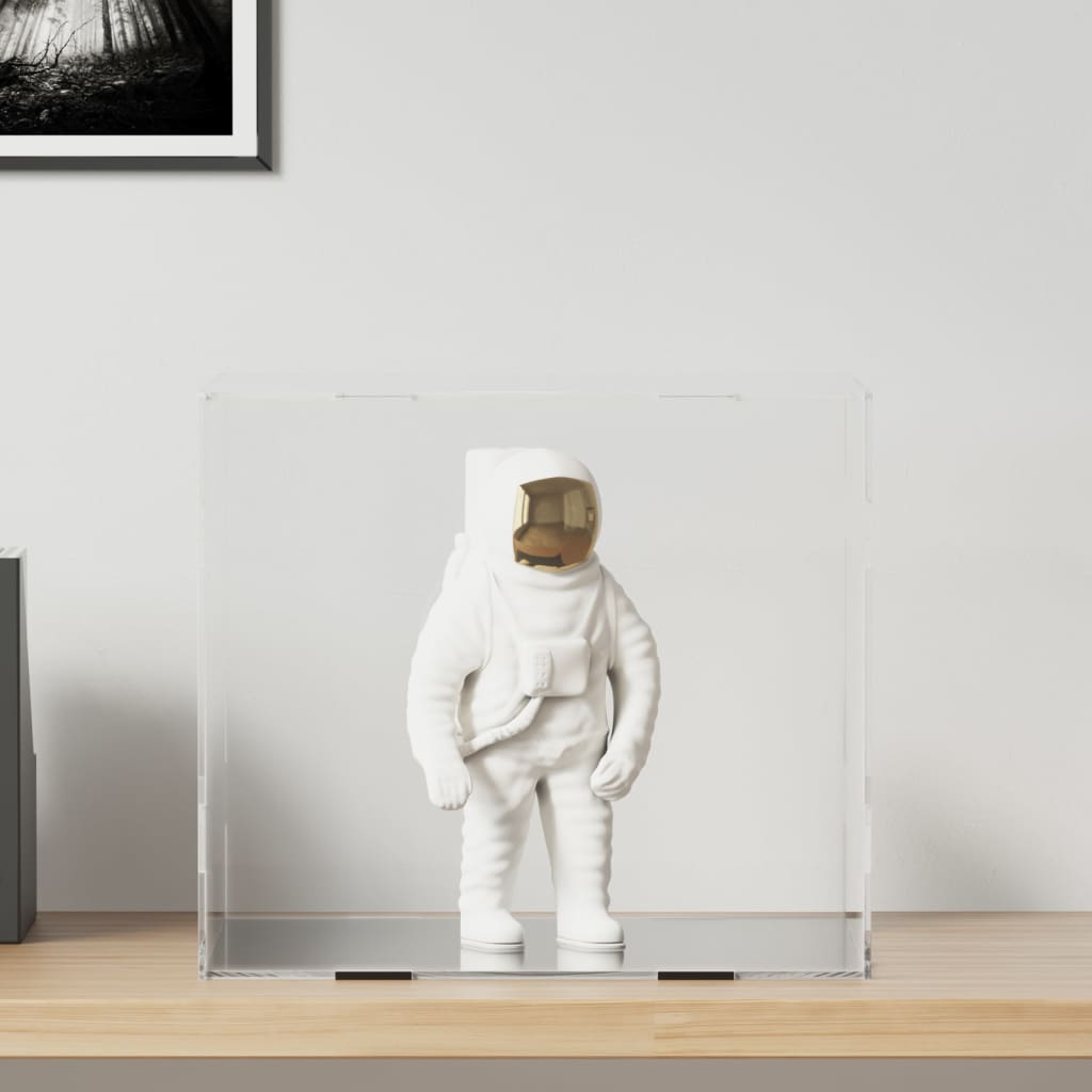 Vidaxx Display Box Transparent 40x36x35 cm akryl