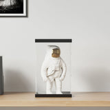 VidaXL vitrine gennemsigtig 22x18x35 cm akryl